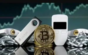 Understanding Crypto Wallets for Beginners